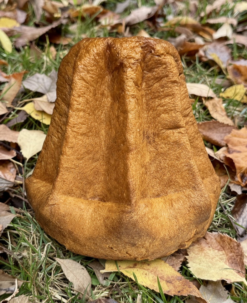 Pandoro Artigianale Brió