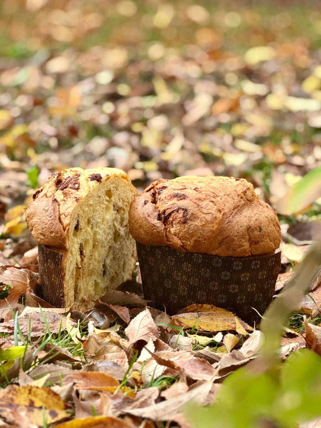 Panettone Artigianale Brió - Gianduia